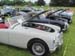showz107IMG_2328