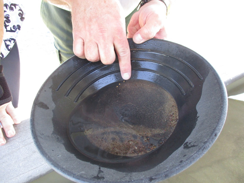 sat40IMG_2720