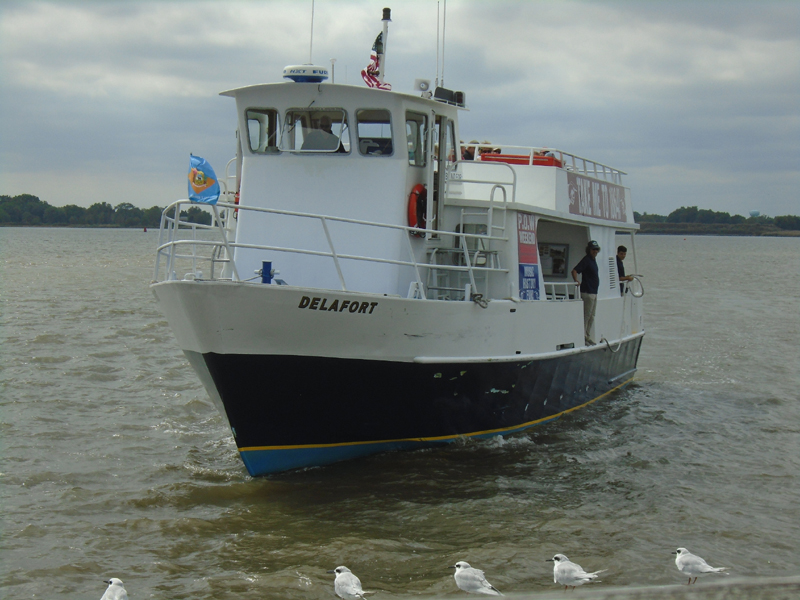 sat94DSC00686