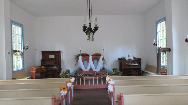 sun35IMG_4261