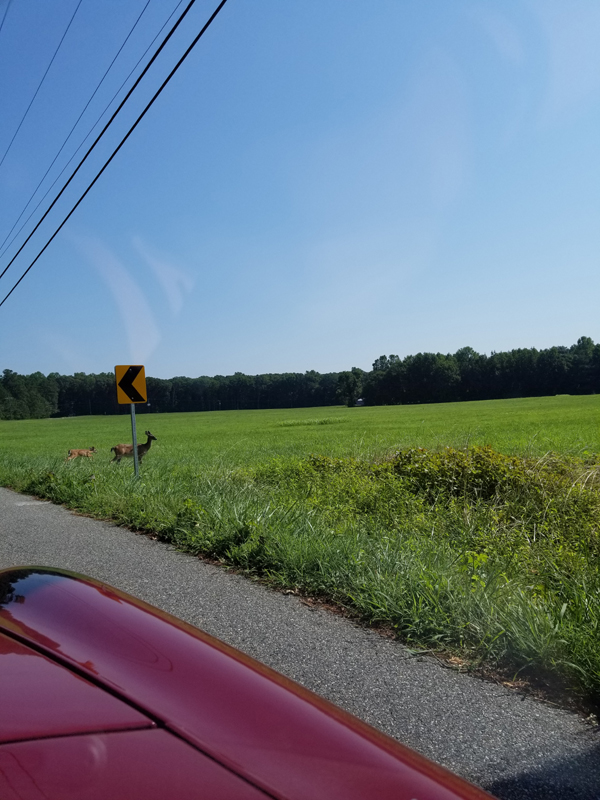 20190728_102656