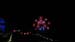 zIMG_4410
