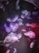sat74_20190427