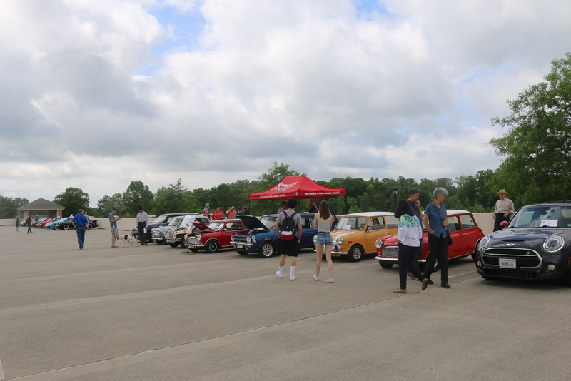 mini-waynes519_80