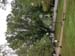 zmon16_20211004_092641