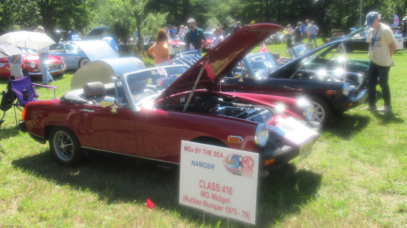 a125IMG_6220