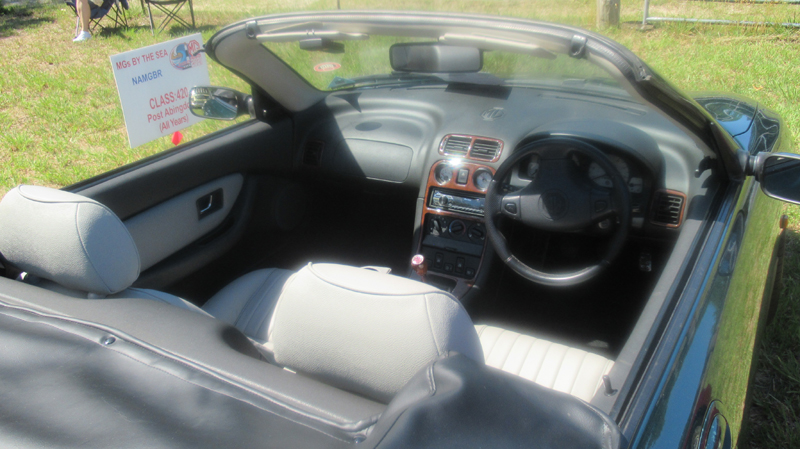a135IMG_6238