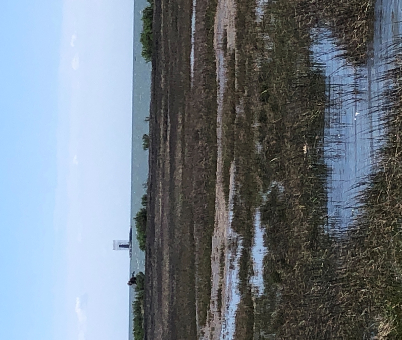 30IMG_5698_original