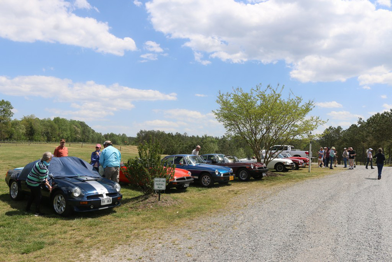 57mini-springtr77