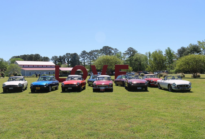sat103mini-springtr116