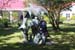 sat111mini-springtr103