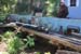 sat118mini-springtr115