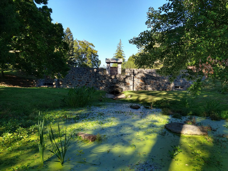 sat30mini-fall