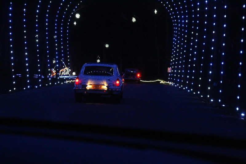mini-xmaslights2022_14