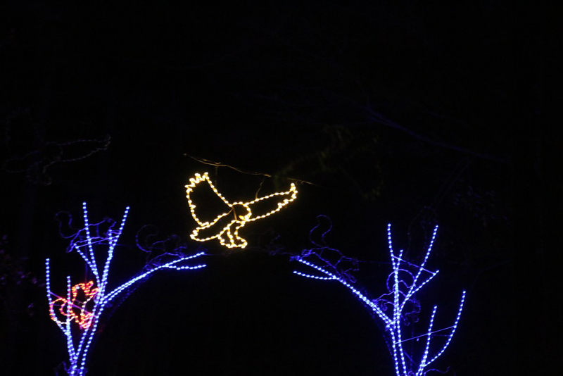 mini-xmaslights2022_51