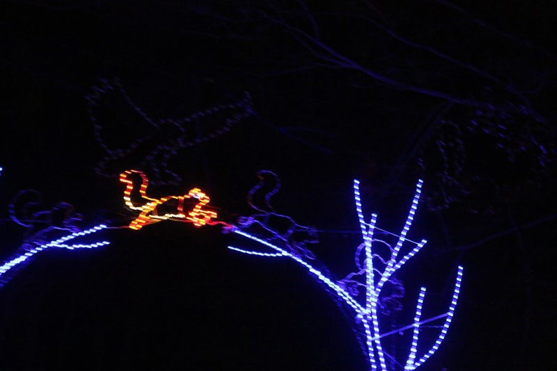 mini-xmaslights2022_53