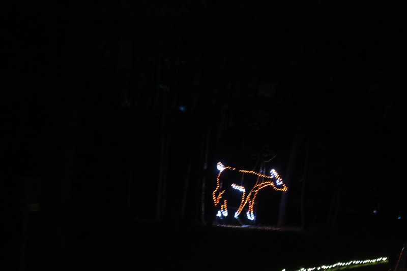 mini-xmaslights2022_54