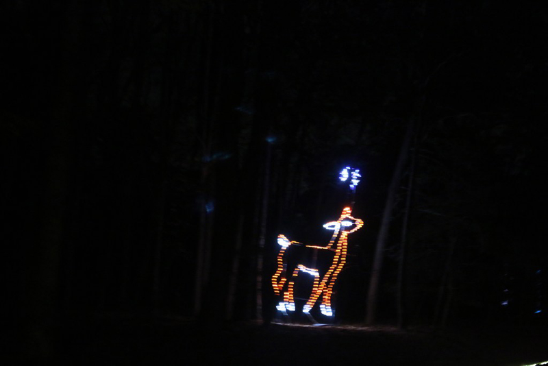 mini-xmaslights2022_55