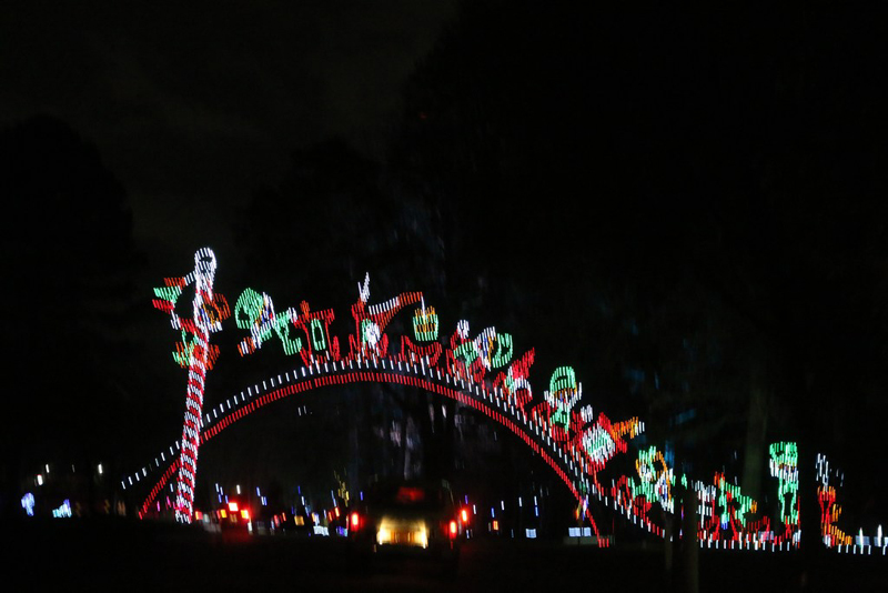 mini-xmaslights2022_57