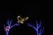 mini-xmaslights2022_51