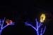 mini-xmaslights2022_52