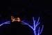mini-xmaslights2022_53