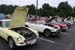mini-mossshow2023_32