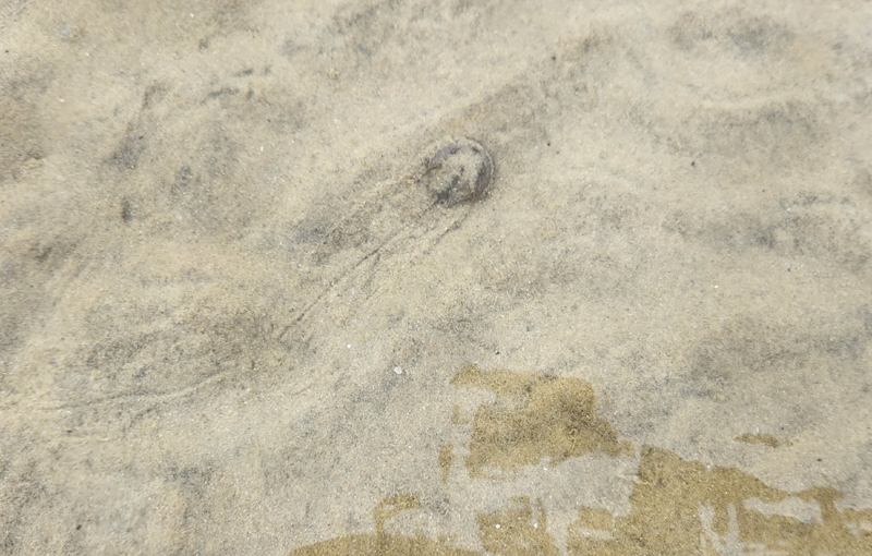 z20230909_134547