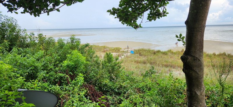 z20230909_135420
