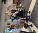 03mini-winetour23_110