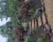 65mini-winetour23_001