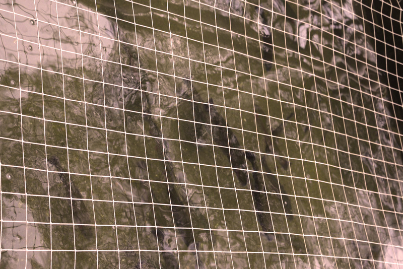 sat041mini-springtour424_054