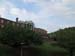 fri113IMG_7530