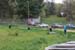 sat037mini-springtour424_058