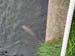 sat044mini-springtour424_147