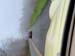 sat058mini-springtour424_142