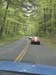w036dmini-springtour